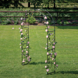 קשת לתמיכת צמחים מטפסים ועיצוב הגינה ממתכת דגם בוטאני-קיסוס