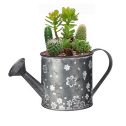 עציץ נוי לשתילת צמחים בצורת מזלף דגם 1001050