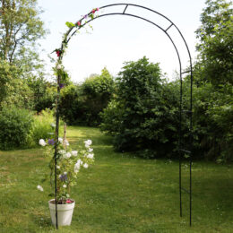 קשת רחבה ממתכת גוון ירוק לתמיכת צמחים מטפסים ועיצוב הגינה דגם איריס