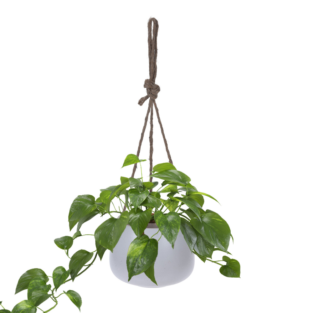 זוג עציצי תליה קרמיקה 15 ס"מ עם חבל קשירה דגם 95704570 – תמונה 6