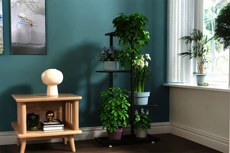 מעמדים לעציצים