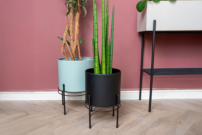 מעמדים לעציצים