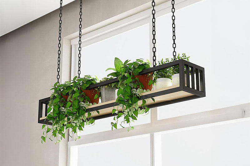 מעמדים לעציצים