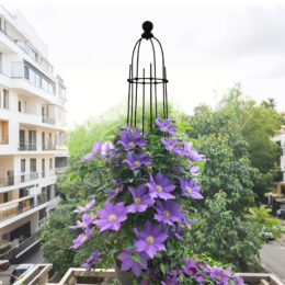 זוג מתקני הדליה לתמיכת צמחים 113 ס"מ דגם 224