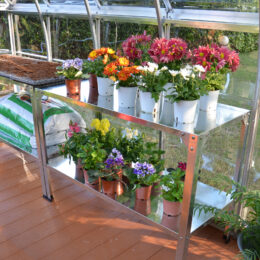 כוננית עבודה לחממה ביתית תוצרת פלרם-CANOPIA דגם 701152